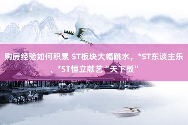 购房经验如何积累 ST板块大幅跳水，*ST东谈主乐、*ST恒立献艺“天下板”