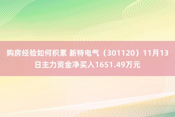 购房经验如何积累 新特电气（301120）11月13日主力资金净买入1651.49万元