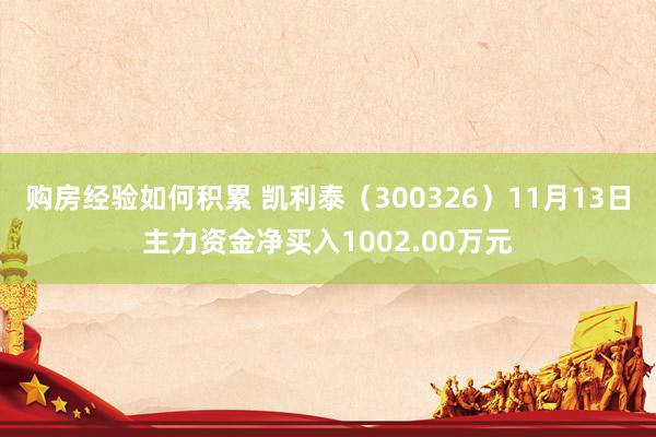 购房经验如何积累 凯利泰（300326）11月13日主力资金净买入1002.00万元