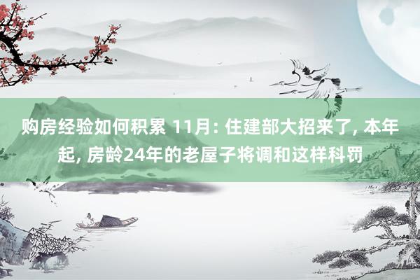 购房经验如何积累 11月: 住建部大招来了, 本年起, 房龄24年的老屋子将调和这样科罚