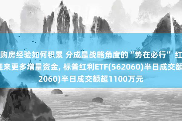 购房经验如何积累 分成是战略角度的“势在必行” 红利板块或将迎来更多增量资金, 标普红利ETF(562060)半日成交额超1100万元