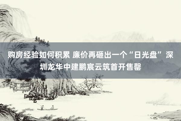 购房经验如何积累 廉价再砸出一个“日光盘” 深圳龙华中建鹏宸云筑首开售罄