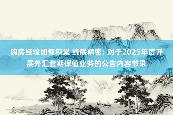 购房经验如何积累 统联精密: 对于2025年度开展外汇套期保值业务的公告内容节录