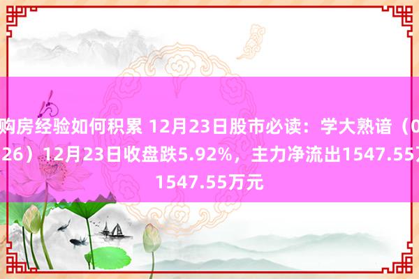 购房经验如何积累 12月23日股市必读：学大熟谙（000526）12月23日收盘跌5.92%，主力净流出1547.55万元