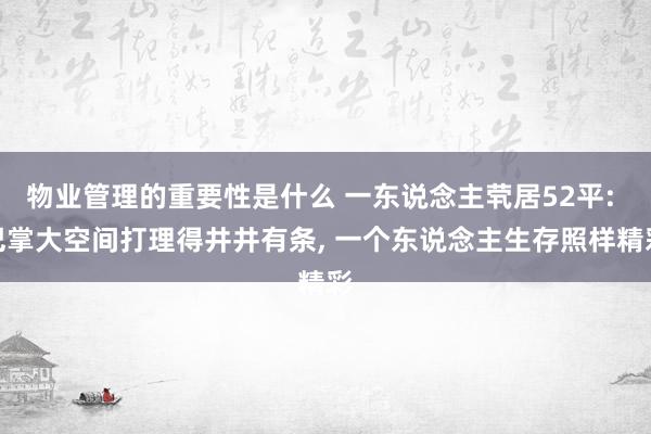 物业管理的重要性是什么 一东说念主茕居52平: 巴掌大空间打理得井井有条, 一个东说念主生存照样精彩