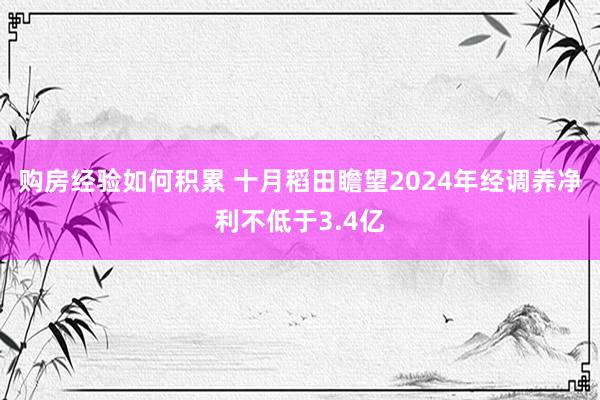 购房经验如何积累 十月稻田瞻望2024年经调养净利不低于3.4亿