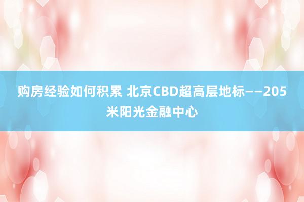 购房经验如何积累 北京CBD超高层地标——205米阳光金融中心