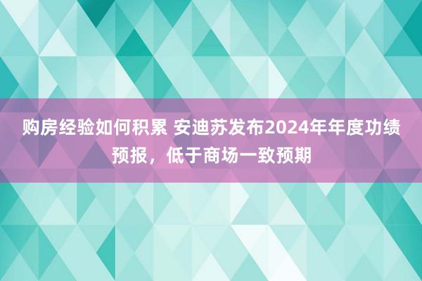 购房经验如何积累 安迪苏发布2024年年度功绩预报，低于商场一致预期