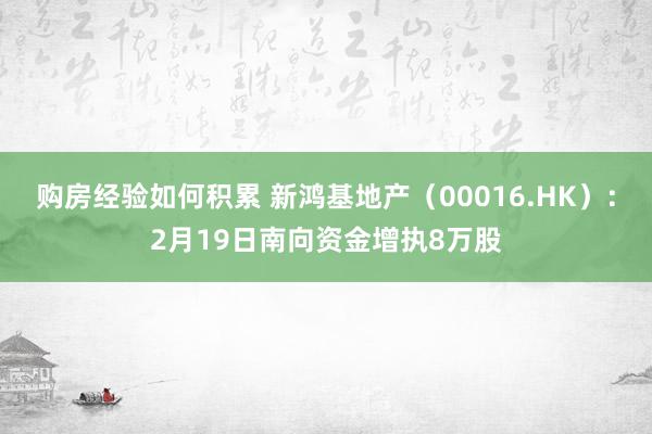 购房经验如何积累 新鸿基地产（00016.HK）：2月19日南向资金增执8万股