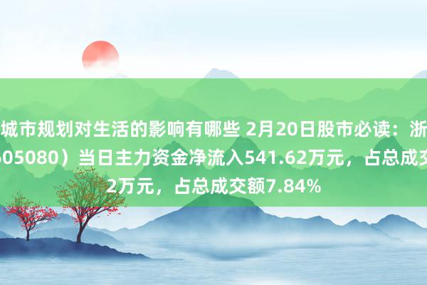 城市规划对生活的影响有哪些 2月20日股市必读：浙江当然（605080）当日主力资金净流入541.62万元，占总成交额7.84%