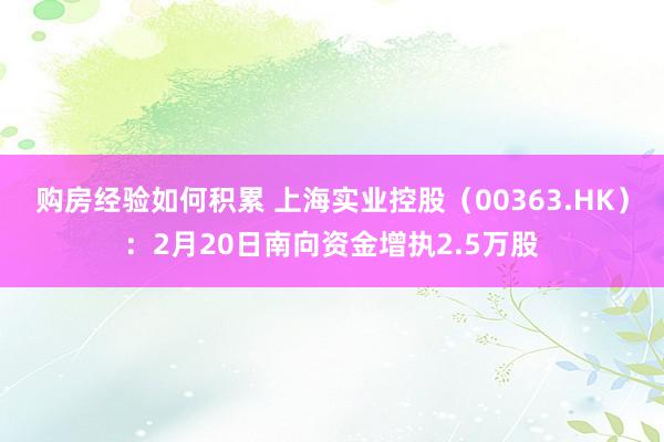 购房经验如何积累 上海实业控股（00363.HK）：2月20日南向资金增执2.5万股