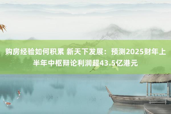 购房经验如何积累 新天下发展：预测2025财年上半年中枢辩论利润超43.5亿港元