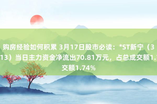 购房经验如何积累 3月17日股市必读：*ST新宁（300013）当日主力资金净流出70.81万元，占总成交额1.74%