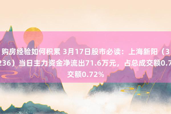 购房经验如何积累 3月17日股市必读：上海新阳（300236）当日主力资金净流出71.6万元，占总成交额0.72%