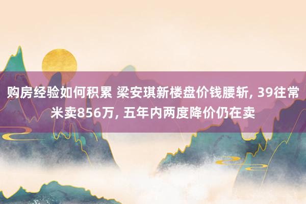 购房经验如何积累 梁安琪新楼盘价钱腰斩, 39往常米卖856万, 五年内两度降价仍在卖